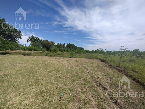 Venta De Campo En San Rafael, Mendoza