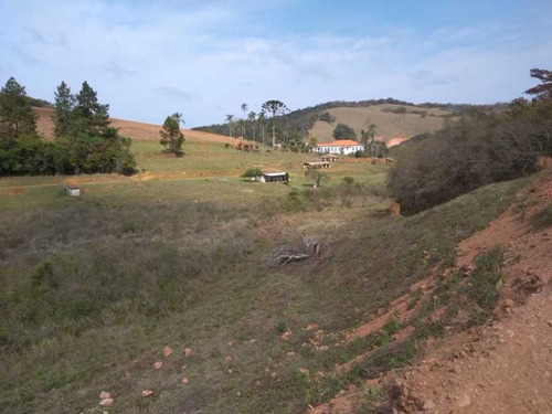 Fazenda Centenária De 1.770 C/190 Hectares - 36132