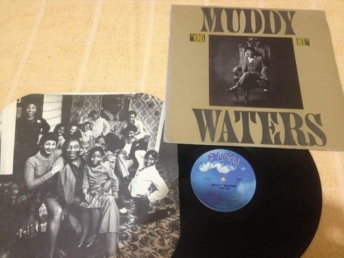 Muddy Waters King Bee Disco De Vinil Original Importado Usa 