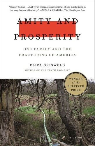 Amity And Prosperity - Picador *pulitzer Prize Kel E, de GRISWOLD,Eliza. Editorial ST.MARTIN S PRESS en inglés