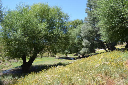 3750 Ha En Venta - Ganaderas - Ranquilon - Neuquen