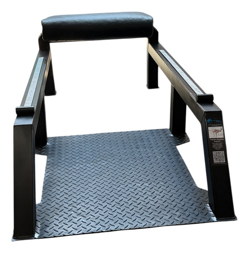 Banco Para Hip Thrust (puentes) Gym Color A Elegir