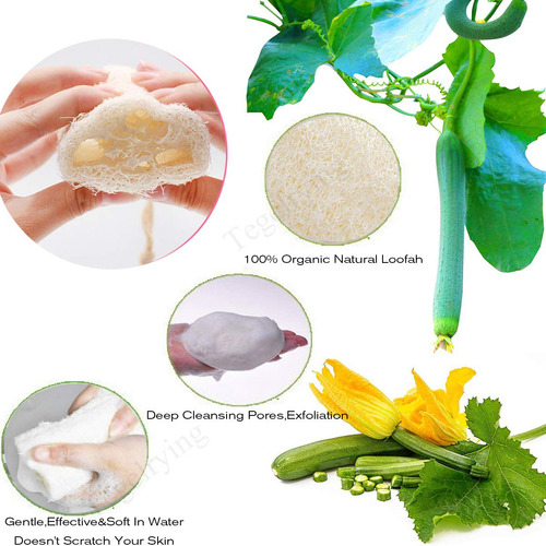 Esponjas Exfoliantes De Lufa Natural Grande Espalda Scrubber