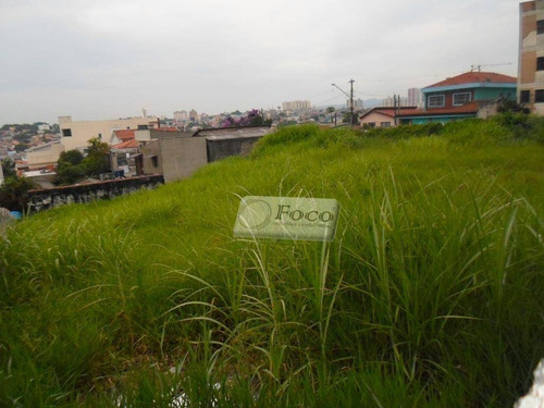 Imagem 6 de 7 de Terreno Residencial À Venda, Parque Renato Maia, Guarulhos - Te0061. - Te0061
