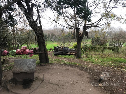 Imagen 3 de 4 de Terreno - Carmelo