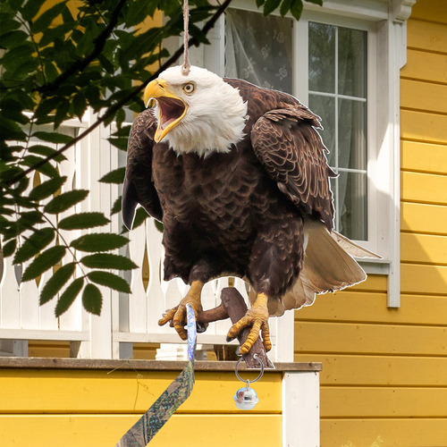 Colgante Con Forma De Águila Y Espantapájaros, 5 Unidades