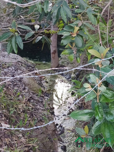 Imagem 4 de 15 de Fazendinha Em Três Marias - 3228