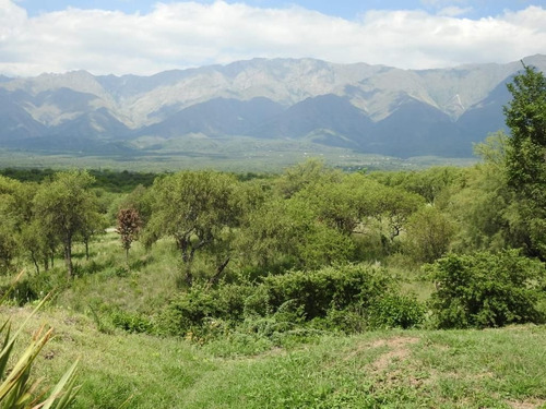 Imagen 6 de 15 de Lote De 4754 M2 En Chacras De San Javier - Córdoba