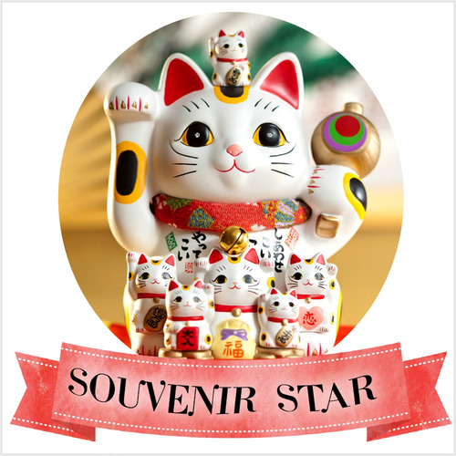 Souvenir Cumplea 5 Almohadas 25x25 Cm Gato Gatitos Acuarela
