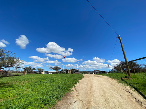 Limache Se Vende Parcela De 5000 Mts2