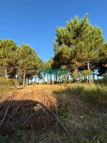 Terrenos En Venta Financiados Últimos En Montes De Solymar