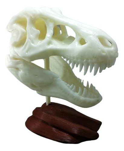 Esqueleto De Tiranossauro Rex Feito Com Impressão 3d