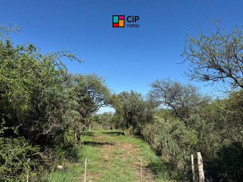 Galpón En Venta En Los Molles