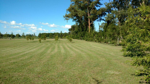 Imagen 11 de 21 de Excelente Casa Quinta 1 Has. 1100 Mts De Rp Nº 29. General Paz. Ranchos. Bs.as