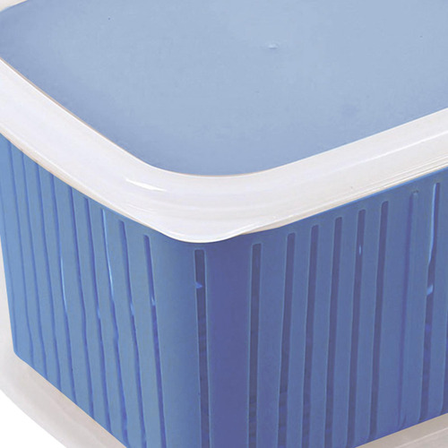 Organizador De Geladeira, Caixa De Armazenamento De Azul