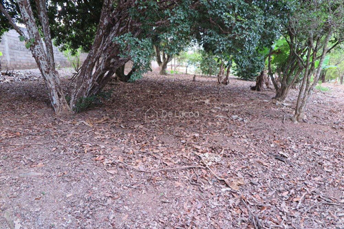 Imagem 22 de 22 de Chácara À Venda Em Parque Jatibaia (sousas) - Ch009861