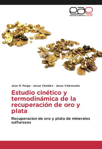 Libro Estudio Cinético Y Termodinámica De La Recupera Lcm6