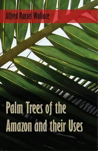 Palm Trees Of The Amazon And Their Uses, De Alfred Russel Wallace. Editorial White Press, Tapa Blanda En Inglés