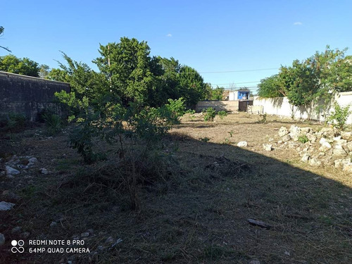 Terreno En Venta Mérida Yucatán, San Sebastián