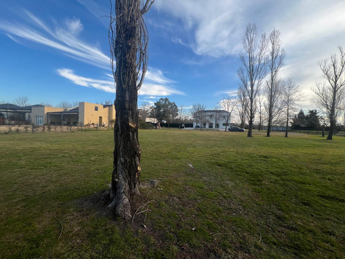 Terreno En Venta Apto Credito Barrio Los Jazmines Pilar Del Este