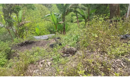 Se Vende Finca Vda La Julia Montenegro Quindío
