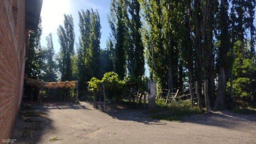 Imagen 12 de 14 de Vendo Finca Cañada Seca San Rafael Mendoza