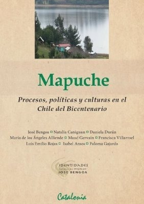 Mapuche Procesos, Políticas Y Culturas / Jose Bengoa