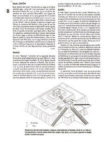 Diccionario Biblico Cristiano - Ed.ampliada - 2 Tomos T.dura