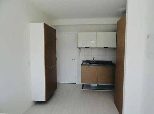Imagem 12 de 15 de Apartamento Para Aluguel, 1 Dormitório(s), 32.0m² - 1479