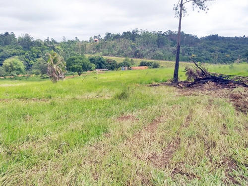 Imagem 5 de 6 de ***lote Com Preço Imperdível***