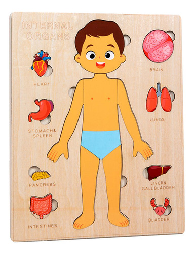 Puzzles Montessori: Cuerpo Humano, Órgano Extraíble