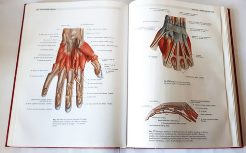 Atlas De Anatomia Humana Sobotta Vols 1 E 2 1993 (Usado)
