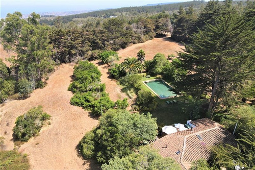 Imagen 23 de 24 de Agrícola En Venta En Algarrobo