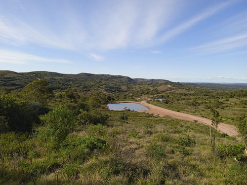 Terreno En Venta De 50250m2 Ubicado En Aiguá