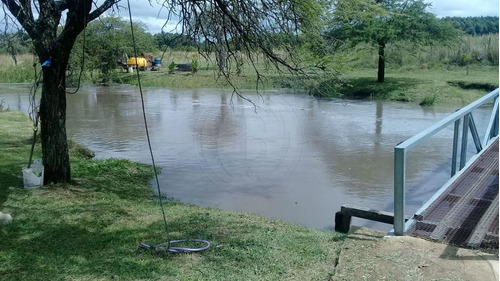 Imagen 2 de 14 de Bustamante Prop Campo Venta San Jose Colon Entre Rios