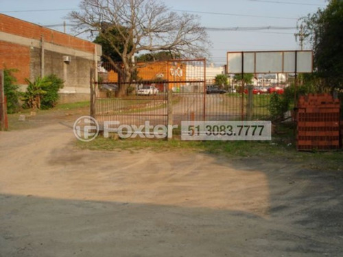 Imagem 7 de 9 de Terreno, 3660 M², São Sebastião - 8310
