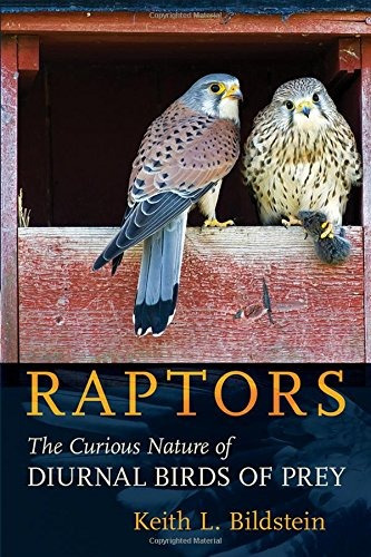 Libro Raptors: The Curious Nature Of Diurnal Birds Of Prey