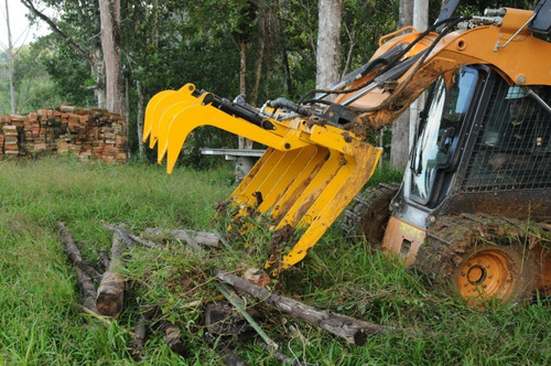 Imagem 5 de 6 de Concha Esqueleto