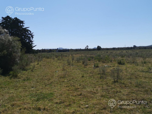 Chacra En Venta - Alquiler Anual En Cerros Azules -piriapolis