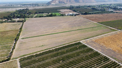 Vendo Privilegiada Zona Agrícola En Buin