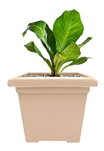 Akromils Rosa34 Accent Square Planter Sandstone Inc