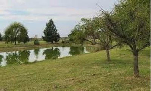 Terreno En Venta - 1000mts2 - La Cándida, Abasto, La Plata