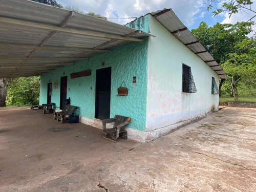 Imagen 13 de 13 de Finca En Venta San Juaquin De Navay