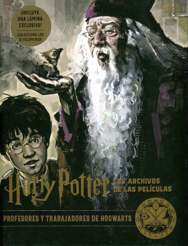 Harry Potter Archivos Peliculas 11 Profesores Trabajadores