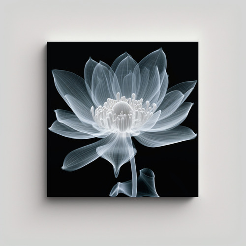 Cuadro Macro Fotografía Creativa - Cultura Lotus 40x40cm