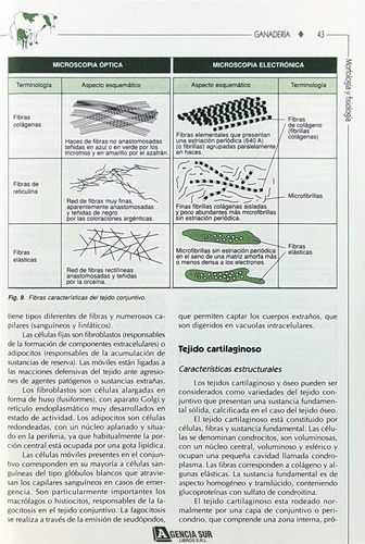 Manual Practico De Ganadería, Avicultura Y Cunicultura