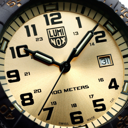 Reloj Luminox Leatherback Sea Turgle G. Xs.0325.gp Hombre
