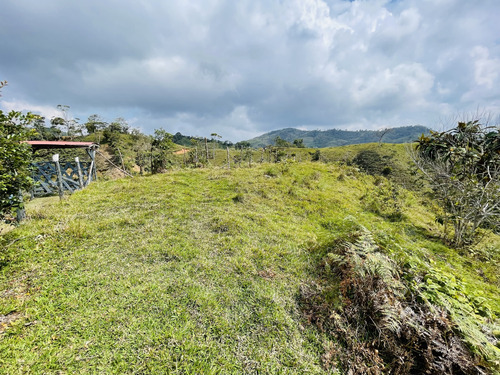 Venta De Lote Con 5.300 M2 En San Roque, Antioquia