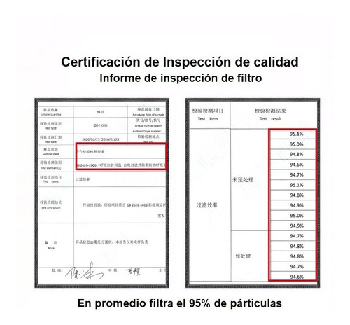 Imagen 5 de 7 de Pack 20 Filtros Pm 2.5 Para Adultos