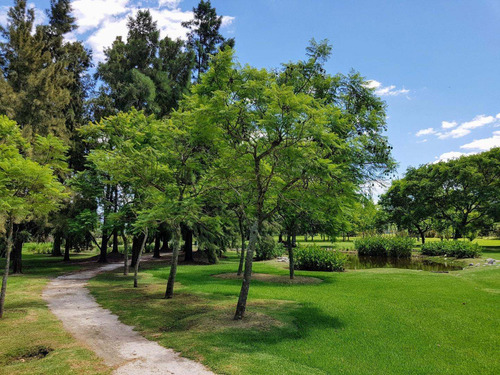 Imagen 17 de 30 de Casa En Venta En Castores 1, Nordelta, Lote Interno A Bosque